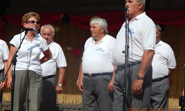 Gombai Forgatag – 2016.