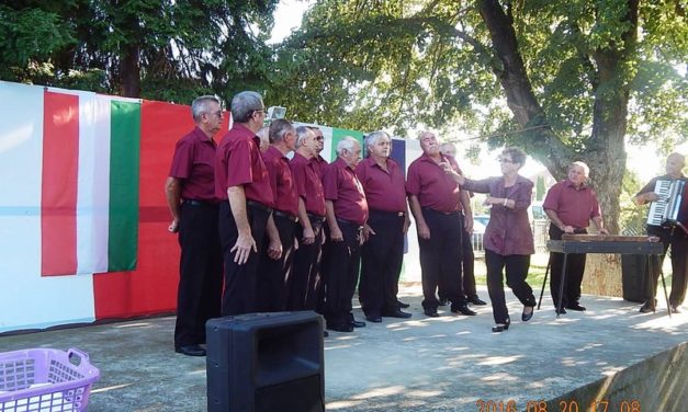 Balatonújlaki Falunap