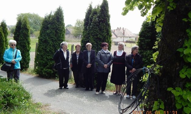 A Marcali  Bajtársi  Dalárda  ünnepi  programja
