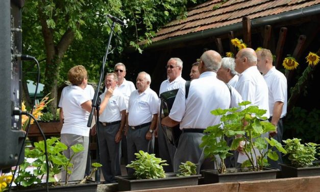 Mesztegnyőn  a  „Rétesfesztiválon”  szerepelt  a  Dalárda