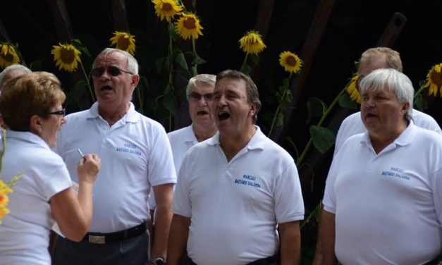 Mesztegnyőn  a  „Rétesfesztiválon”  szerepelt  a  Dalárda