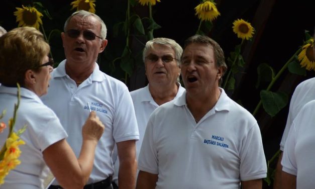 Mesztegnyőn  a  „Rétesfesztiválon”  szerepelt  a  Dalárda