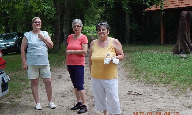 Családi piknik  a  Marcali Bajtársi  Egyesületnél,  Somogyfajszon