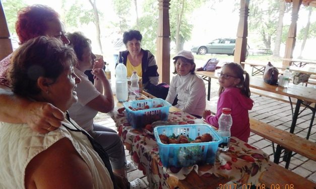 Családi piknik  a  Marcali Bajtársi  Egyesületnél,  Somogyfajszon