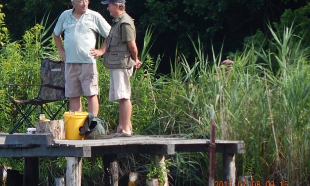 Családi piknik  a  Marcali Bajtársi  Egyesületnél,  Somogyfajszon