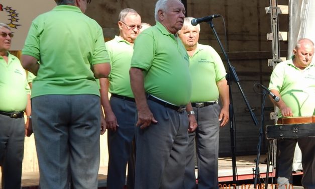A  Gombai Forgatagon  lépett  fel a  Dalárda