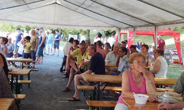 A  Gombai Forgatagon  lépett  fel a  Dalárda