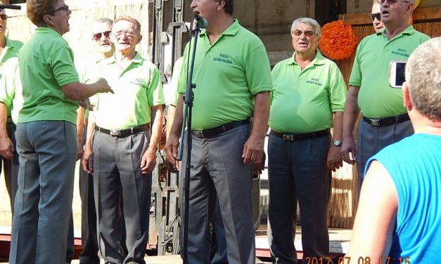 A  Gombai Forgatagon  lépett  fel a  Dalárda
