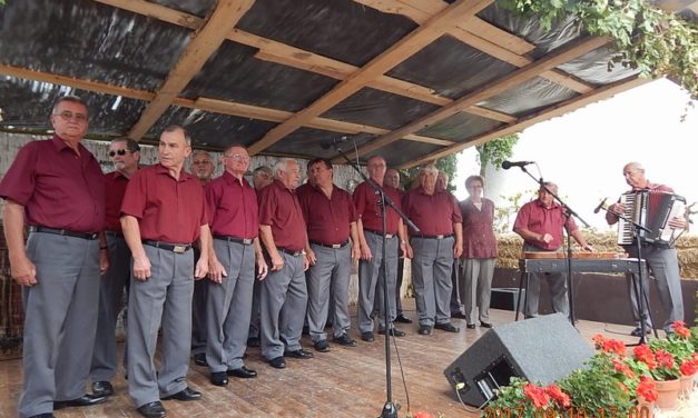 Reziben,  a  Szüreti Mulatságon a  Dalárda