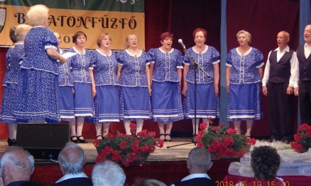 Balatonfűzfőn,  katonadalos  találkozón  a  Marcali  Bajtársi  Dalárda