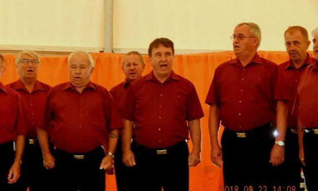 Niklán  és  Somogyzsitfán  lépett  fel  a   Dalárda