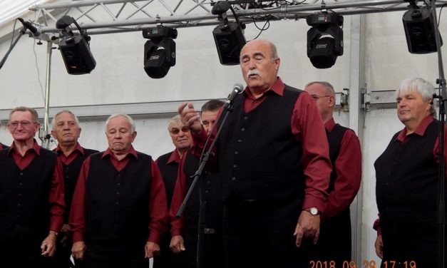 Somogysárdi  Szent  Mihály  Nap