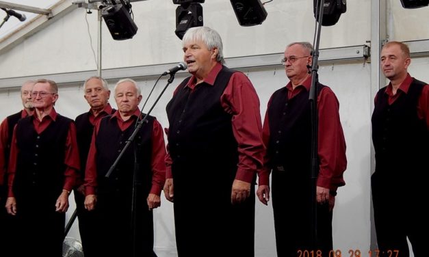 Somogysárdi  Szent  Mihály  Nap
